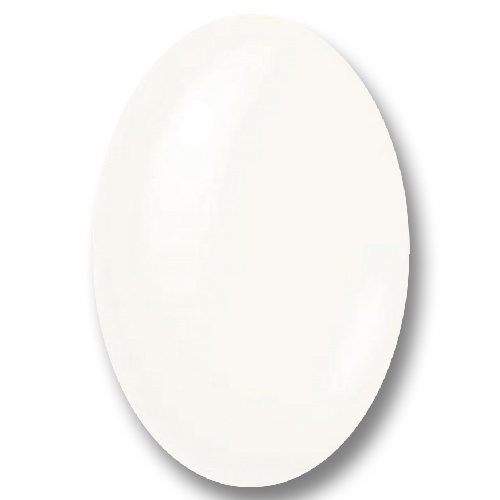 Gel Nail Polish -Winter White (french manicure) -test - Image 3